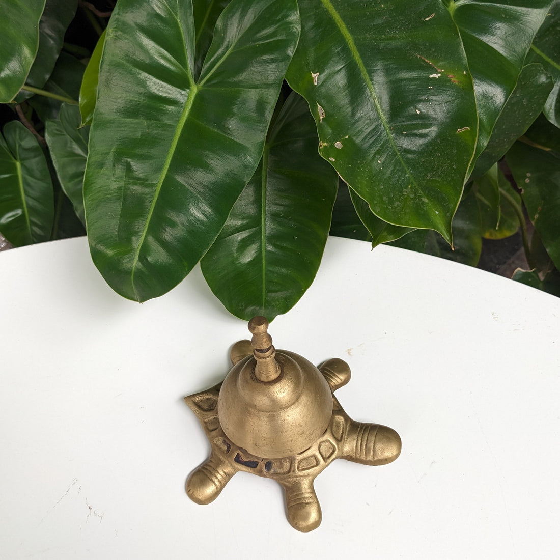 Brass Tortoise Desk Bell