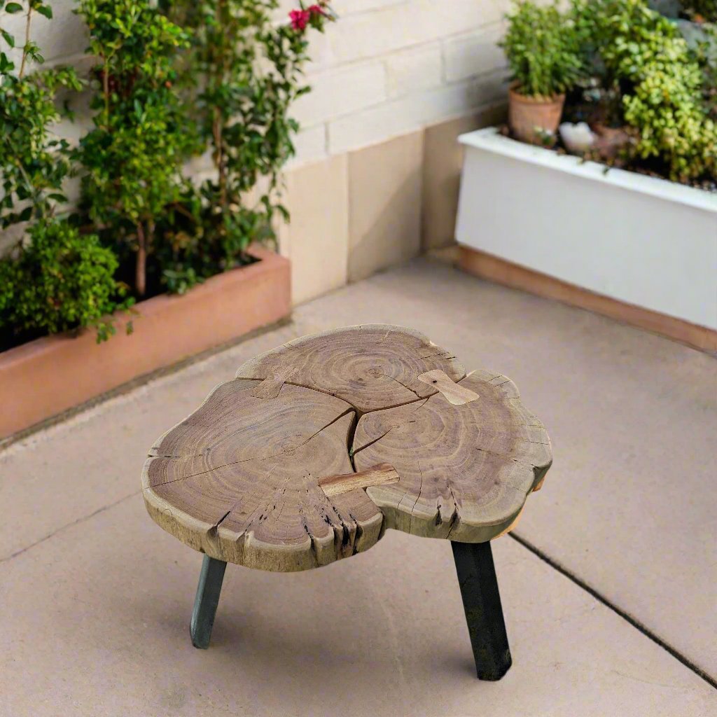 Live-Edge Table