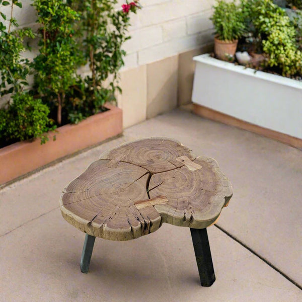Live-Edge Table