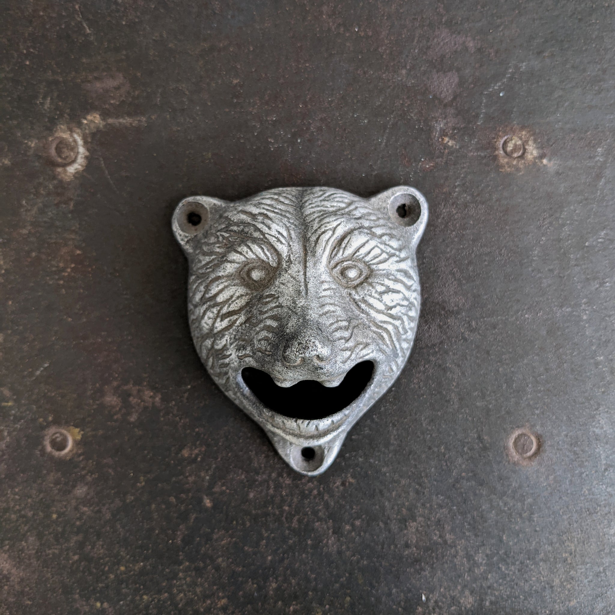 Bear bottle opener