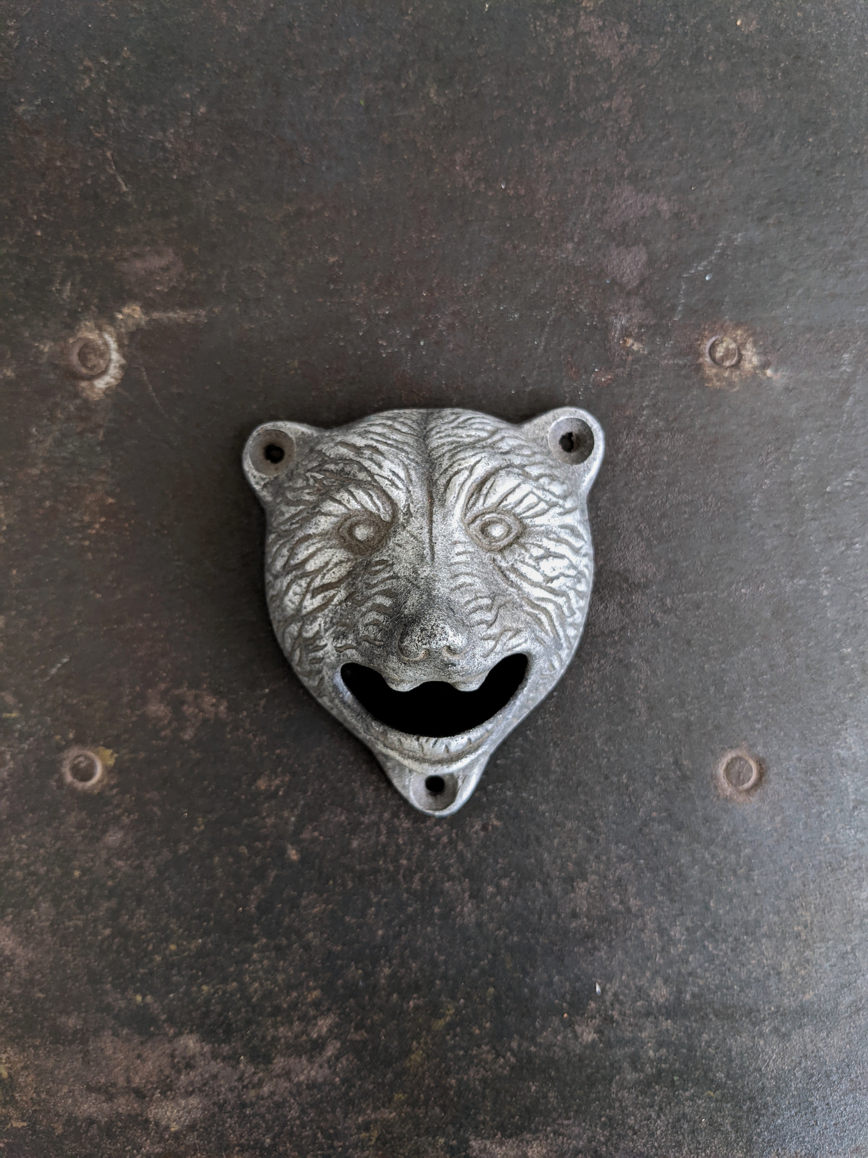 Bear bottle opener